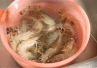 韭菜花炒虾仁的做法 步骤1
