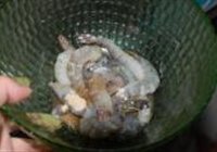 韭菜花炒虾仁的做法 步骤2