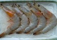 粉丝蒸大虾的做法 步骤5