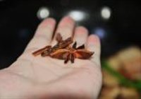 湘式肉片的做法 步骤9