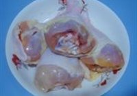 蒜子陈皮鸡的做法 步骤1
