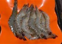 蚝油一锅鲜的做法 步骤1