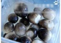 草菇虾球烩丝瓜的做法 步骤15