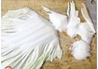 大白菜炖豆腐的做法 步骤2