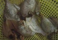 糖醋鲳鱼干的做法 步骤2