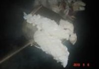 大爱冬阴公汤的做法 步骤2