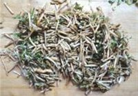 野生芦蒿炒肉丝的做法 步骤4