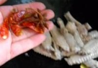 芋艿烧鸭翅的做法 步骤6