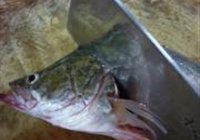 松鼠鳜鱼的做法 步骤2