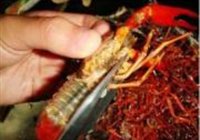 麻辣小龙虾的做法 步骤6