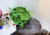 大力水手汤的做法 步骤3