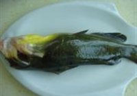 豆豉焖黄骨鱼的做法 步骤1