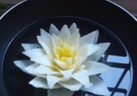 宴客菜佛手观音莲的做法 步骤14