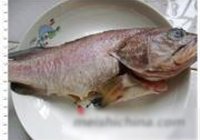 煎石斑鱼的做法 步骤1