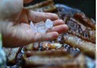 孜然醉排骨的做法 步骤10