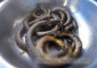 熟食蟮丝的做法 步骤3