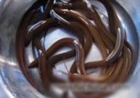 熟食蟮丝的做法 步骤1