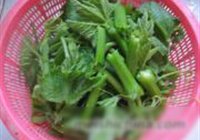 蒜香南瓜藤的做法 步骤1