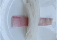 张灯结彩的做法 步骤11