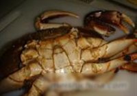 姜葱可乐螃蟹的做法 步骤2
