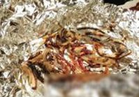 喼汁锡纸焗骨的做法 步骤10