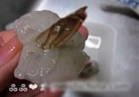 红掌拨清波的做法 步骤10