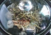 茶菇番鸭煲的做法 步骤7