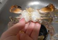 葱姜炒蟹的做法 步骤3
