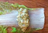 白菜包肉的做法 步骤5