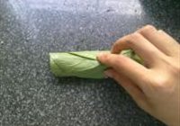 青叶卷虾棒的做法 步骤8