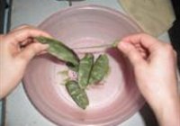 孜然软炸扁豆角盒的做法 步骤1