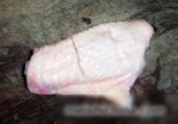 柠香蚝油煎焖鸡翅的做法 步骤2