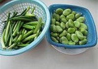 蒜苔烧蚕豆米的做法 步骤1