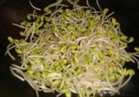 牛筋炒豆芽的做法 步骤2