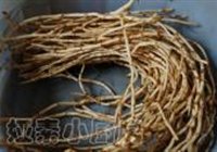 剁辣子炒臭菜根的做法 步骤1