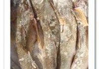 海鲶鱼烧豆腐的做法 步骤2