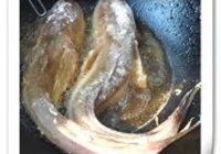 海鲶鱼烧豆腐的做法 步骤4