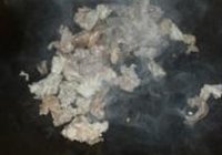 白萝卜炖牛筋的做法 步骤9