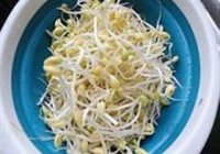 豆芽炖粉丝的做法 步骤4