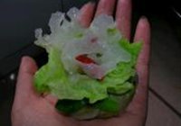 锦囊妙计的做法 步骤6