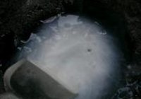 锦囊妙计的做法 步骤8