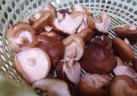 乡下烧土鸡的做法 步骤2