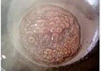 香辣酱牛肉的做法 步骤8