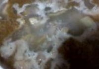 补品麻油鸡的做法 步骤9