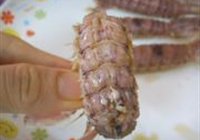 清蒸皮皮虾的做法 步骤11