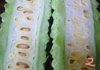 南昌风味炒苦瓜的做法 步骤2