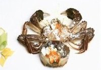 螃蟹烧魔芋的做法 步骤4