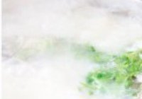 鲫鱼豆腐汤的做法 步骤6