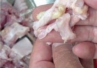 辣子鸡的做法 步骤2