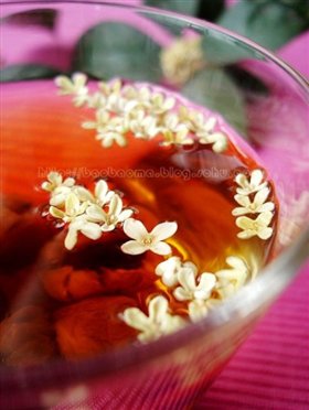 桂花香茶